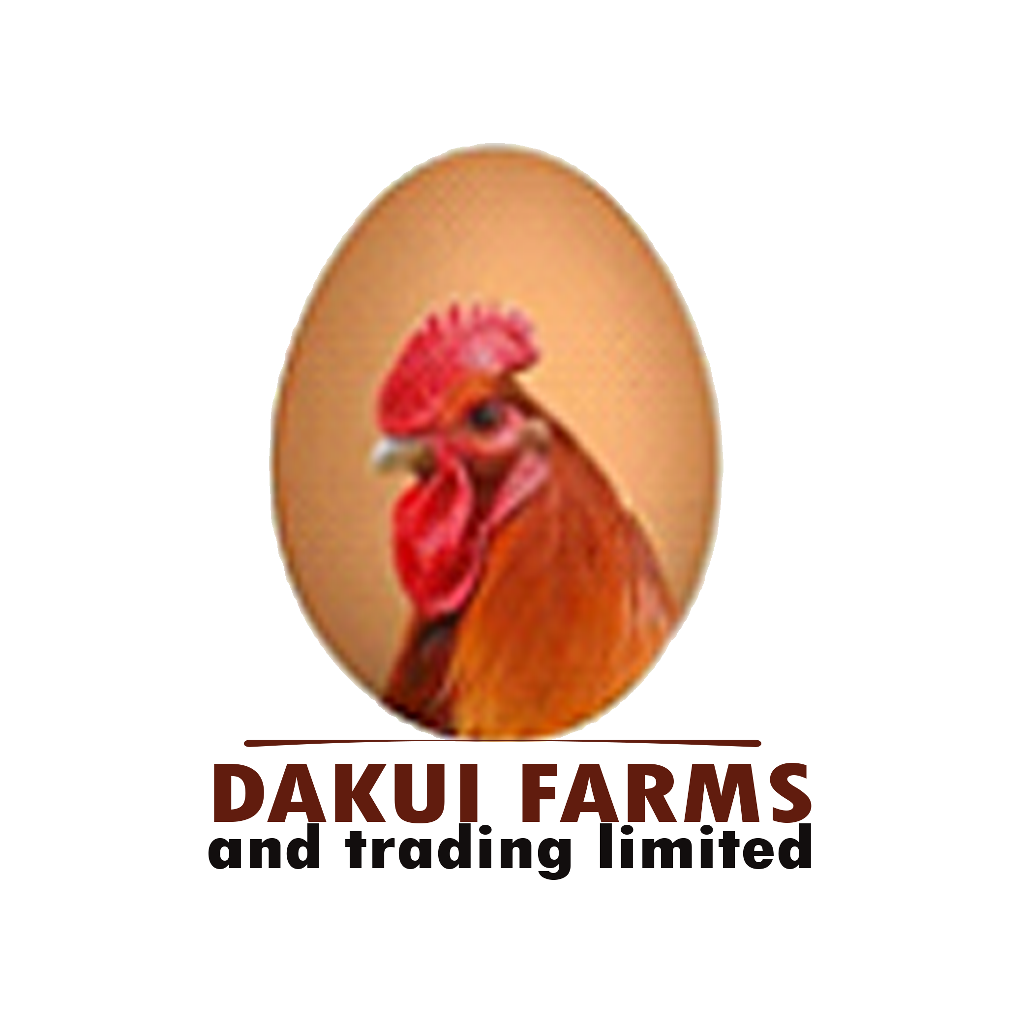 dakui logo official 2